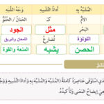 التشبيه والفعل الصحيح لغة عربية صف سابع 2