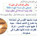 التشبيه والفعل الصحيح لغة عربية صف سابع 4