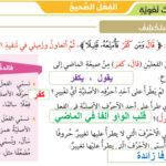 التشبيه والفعل الصحيح لغة عربية صف سابع 6