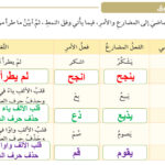 التشبيه والفعل الصحيح لغة عربية صف سابع 8